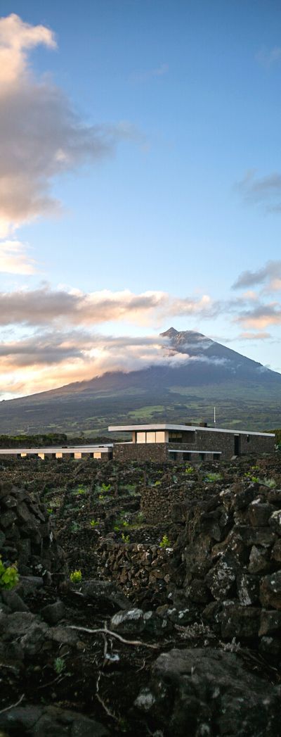 Vinhos Vulcânicos