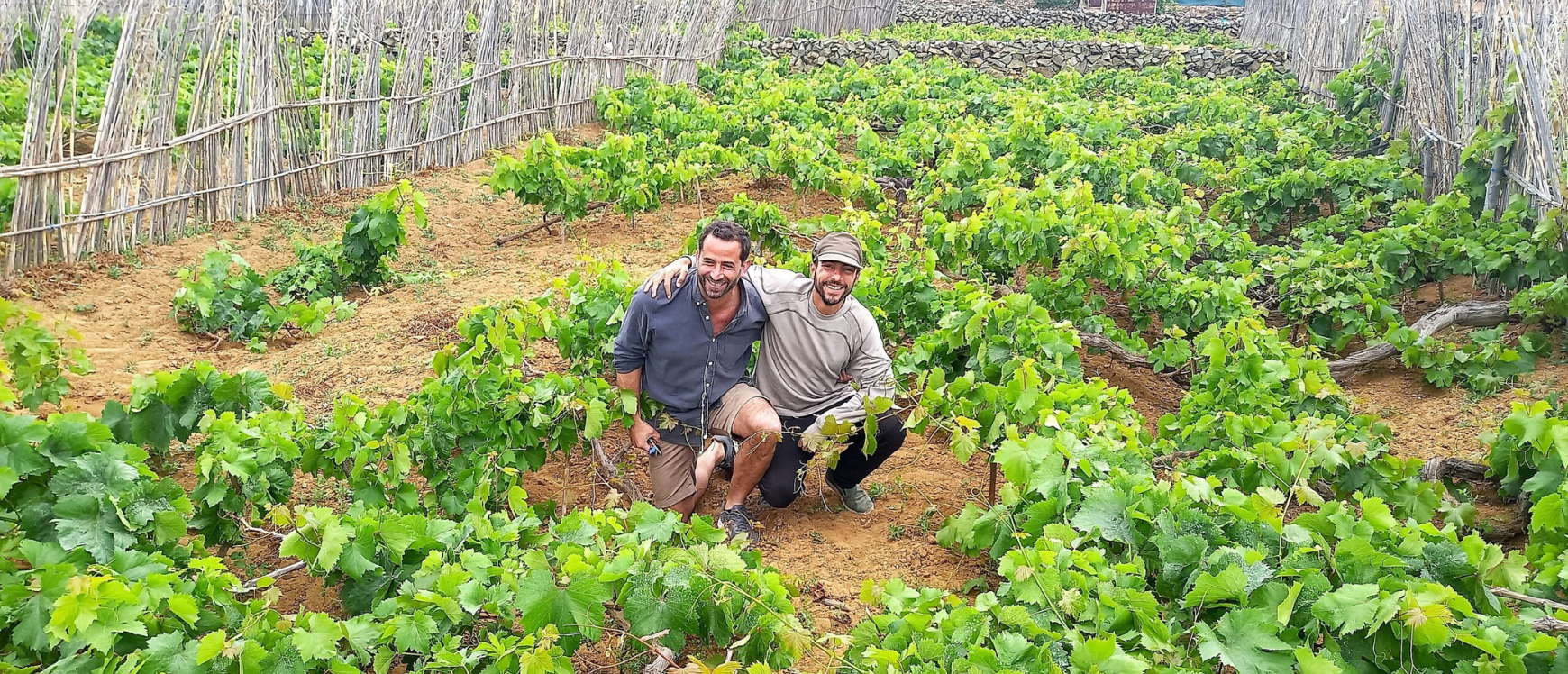 António Maçanita | Wine Producer