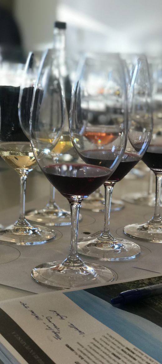 Prova de vinhos