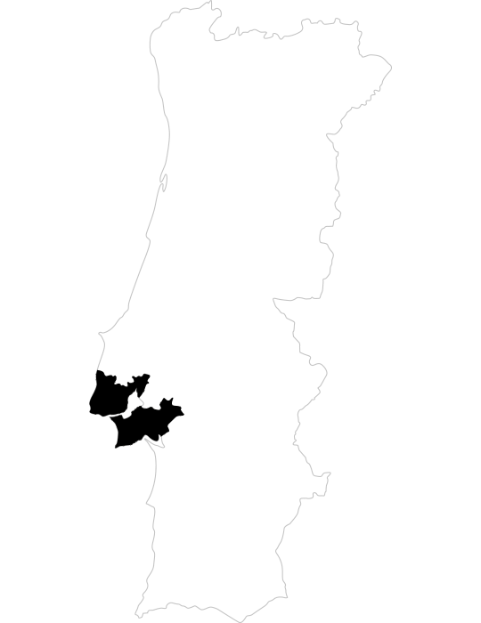 Projeto de Vinho na Região de Lisboa