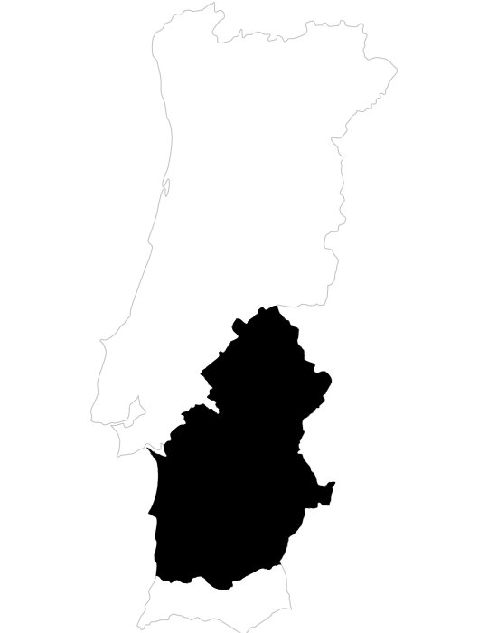 Projeto de Vinho na Região do Alentejo