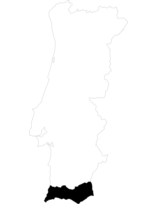 Projeto de Vinho na Região do Algarve