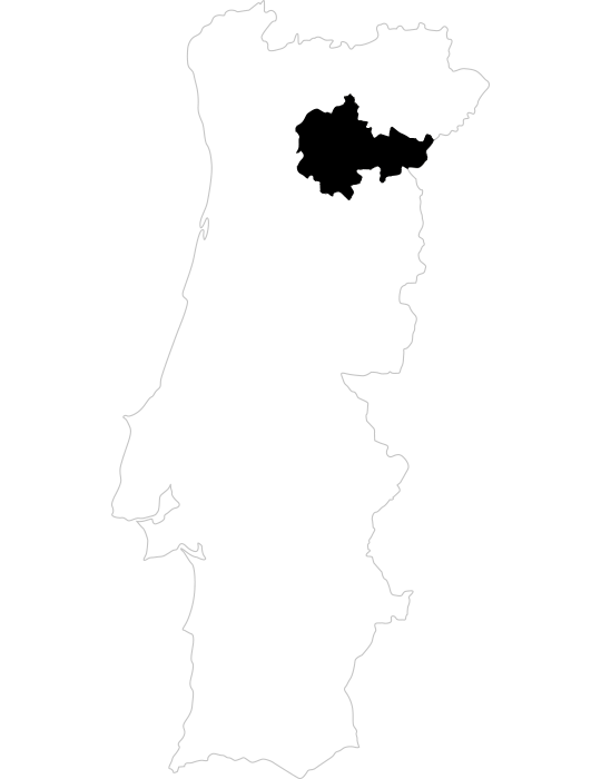 Projeto de Vinho na Região do Douro