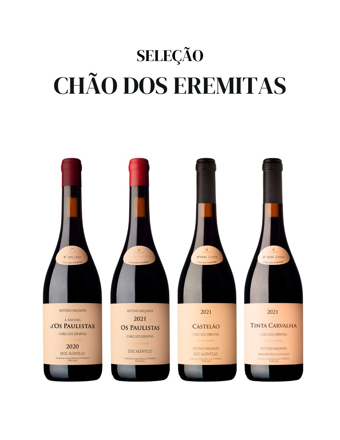 Seleção Chão dos Eremitas