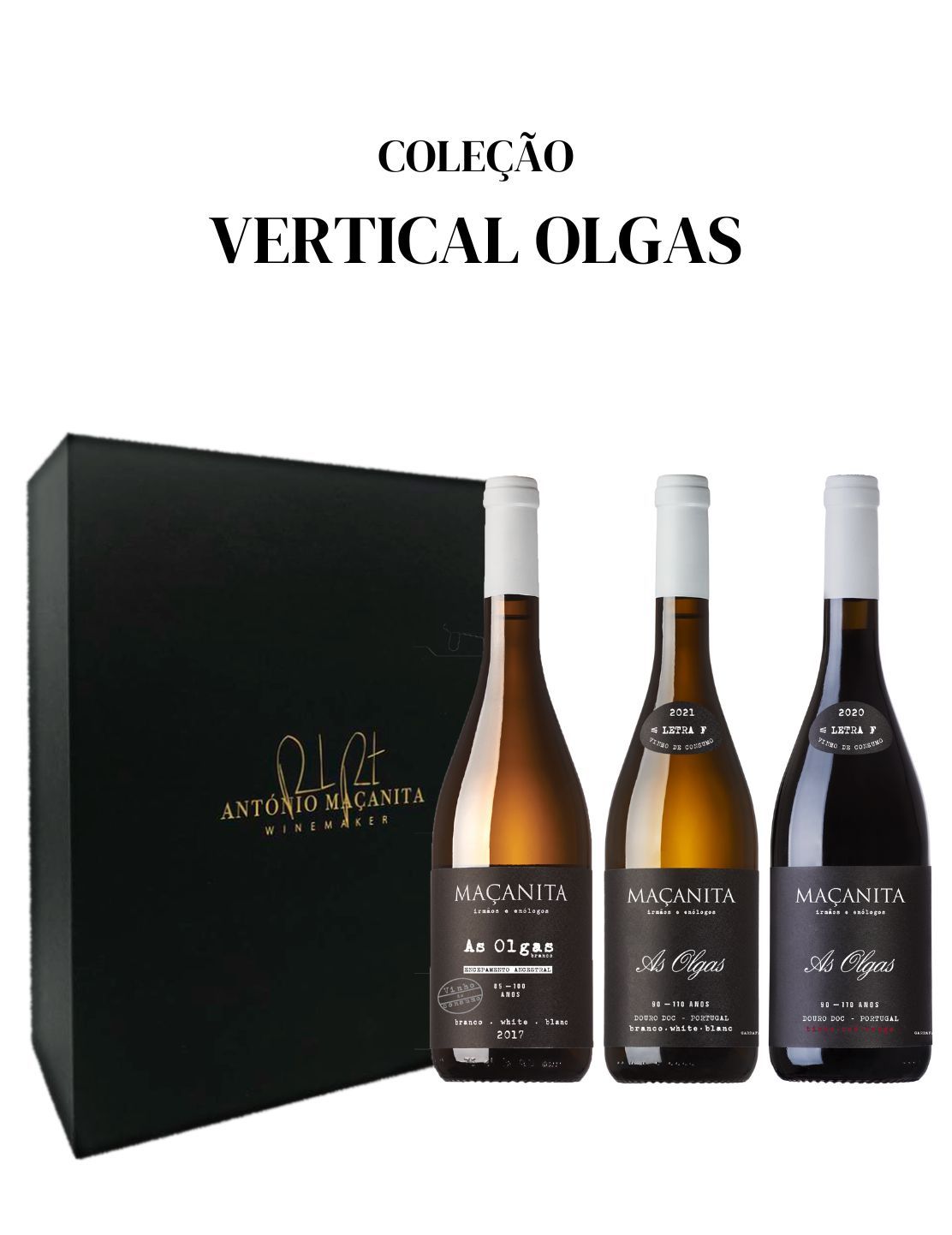 Coleção Vertical Olgas