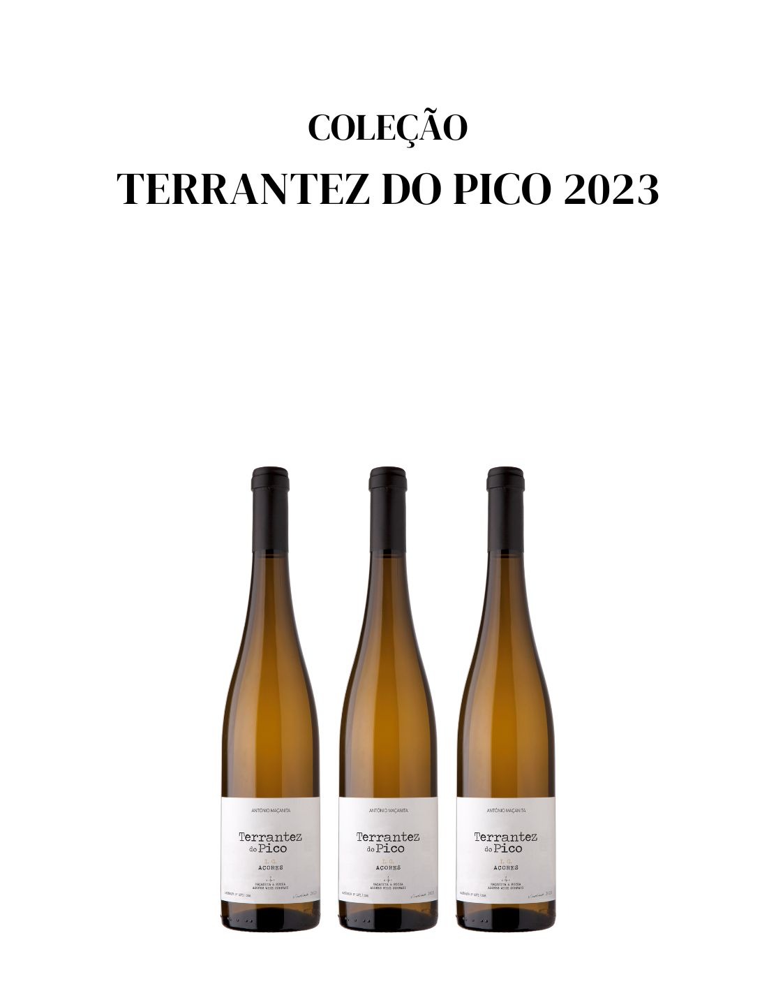 Coleção Terrantez do Pico 2023