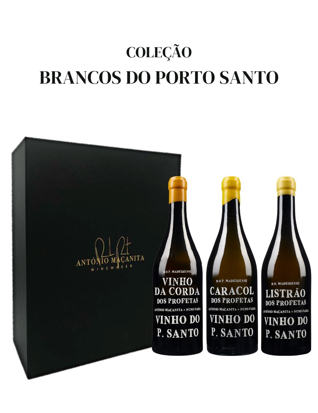 Coleção Brancos do Porto Santo