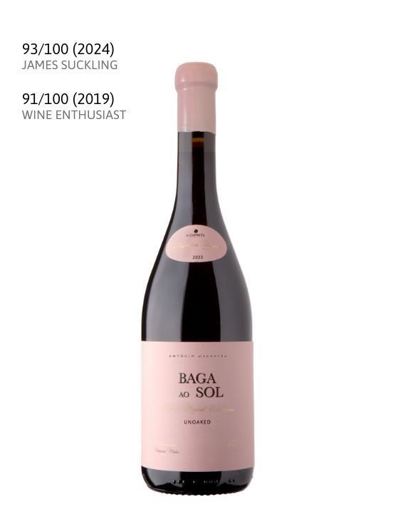 wine Baga ao Sol