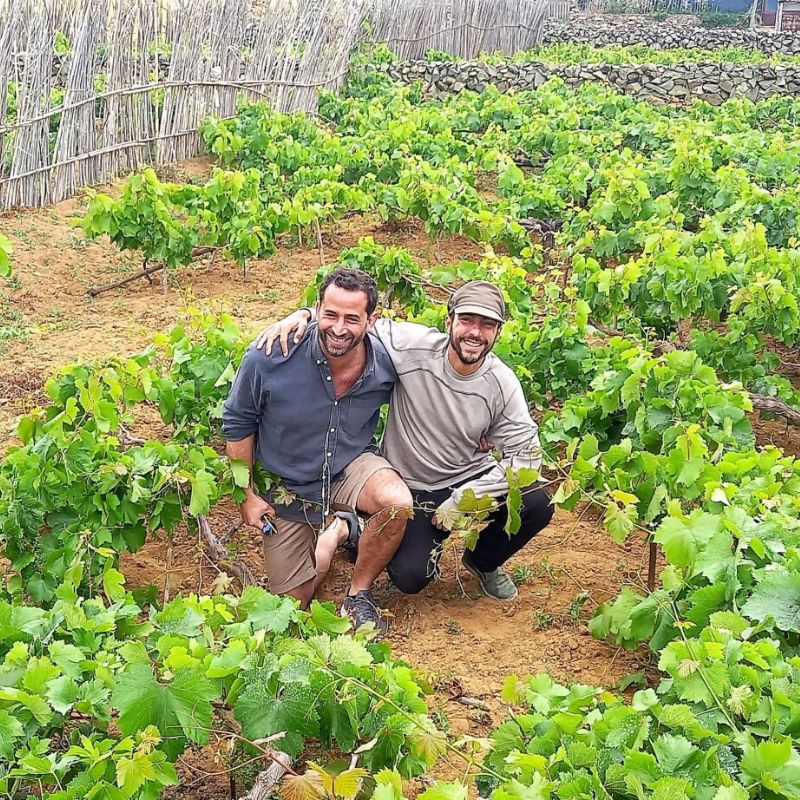 June Wines of the Month: fresh & freshly launched Caracol & Baga