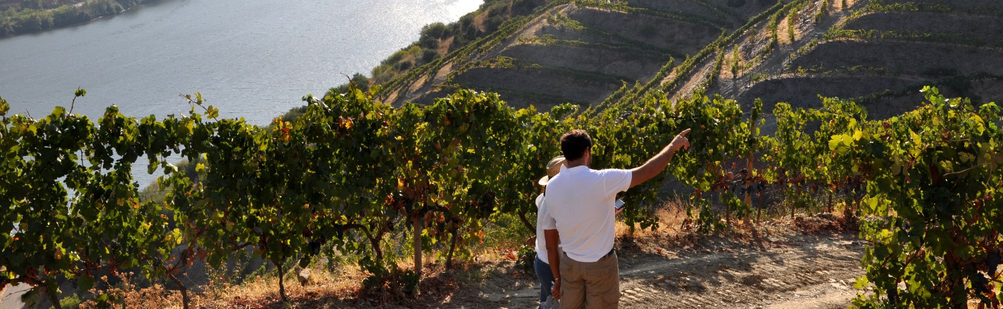 António Maçanita & Vinhos do Douro