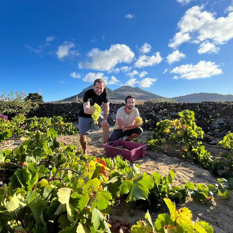 António Maçanita, o Porto Santo e o Caracol de vinhas de areia