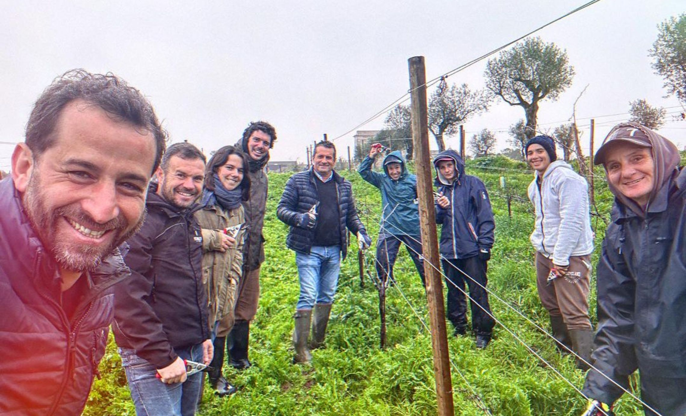 Poda na Fitapreta: A vinha do Morgado de Oliveira