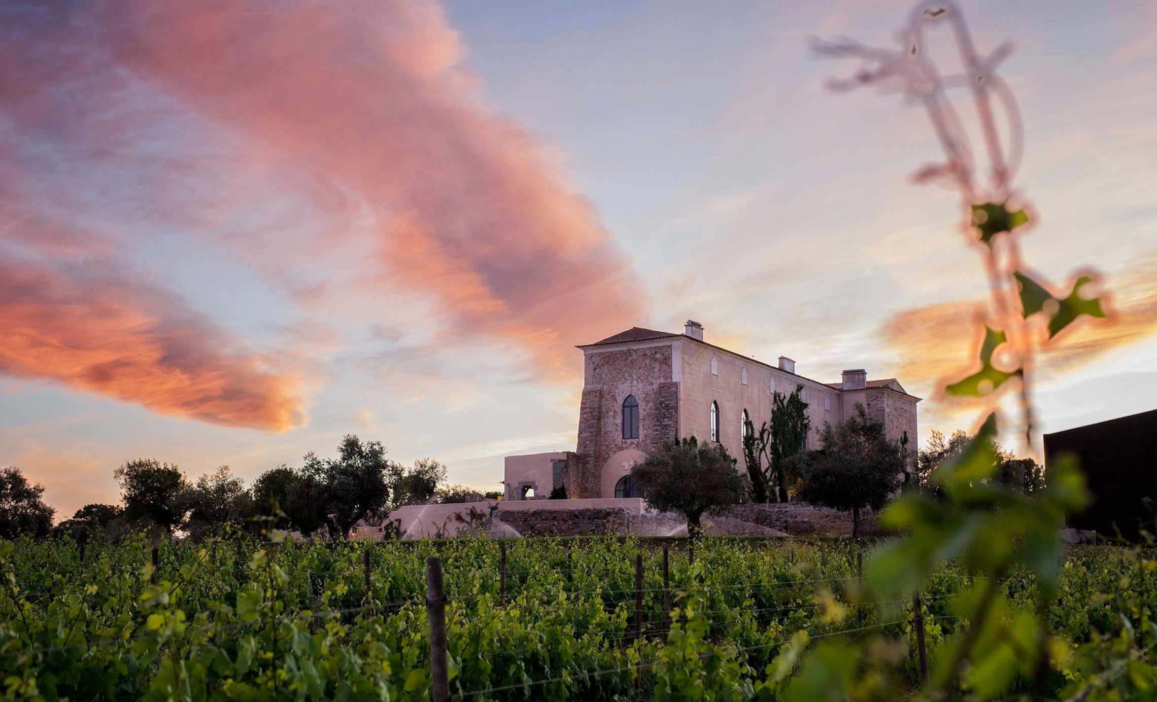 Lançamento: Rosé da Fitapreta Cuvée Nº7