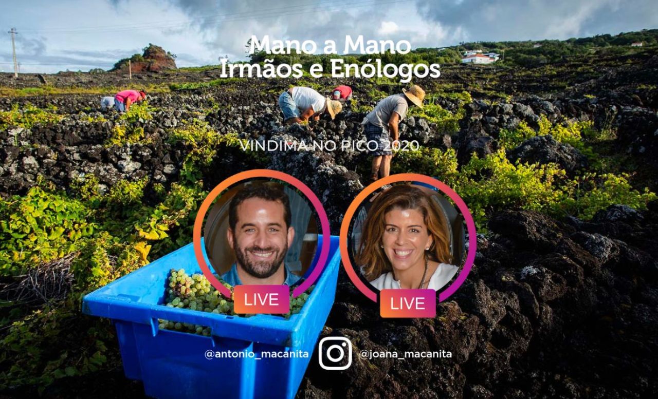Revival Mano a Mano: Vindima no Pico 2020