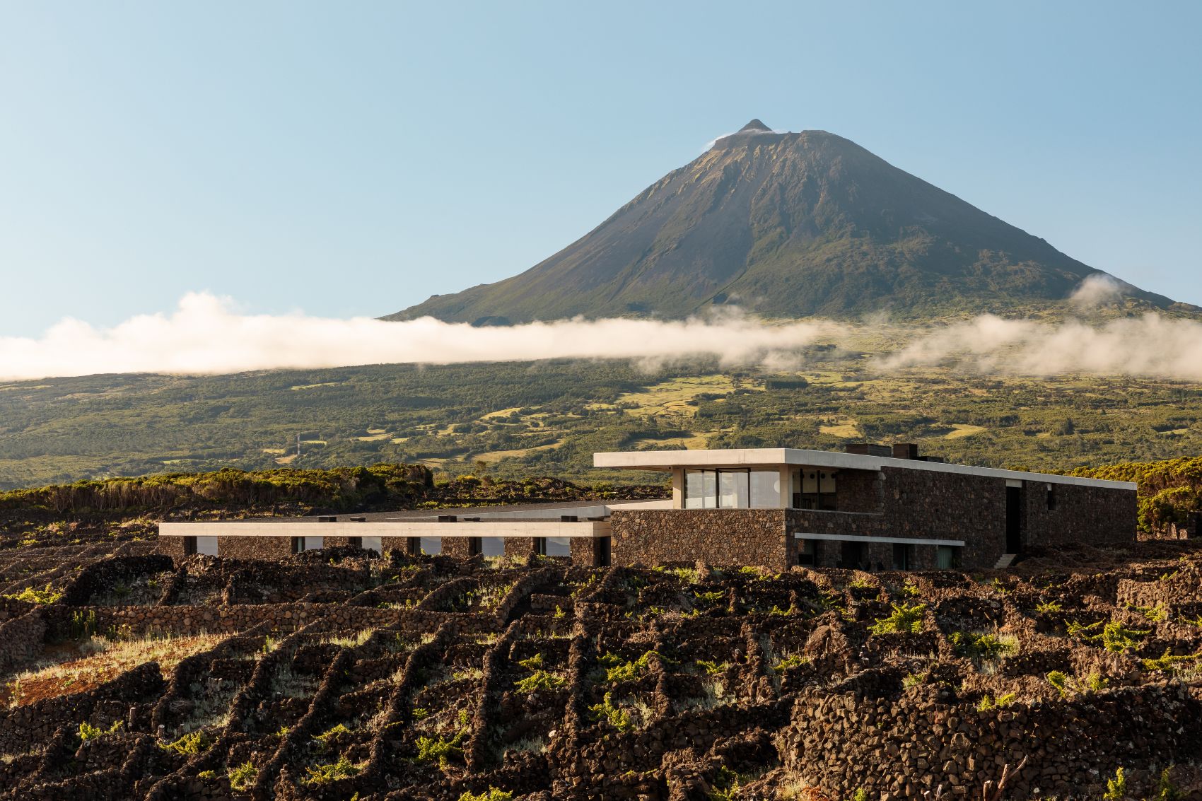 Adega Azores Wine Company com a montanha Pico atrás