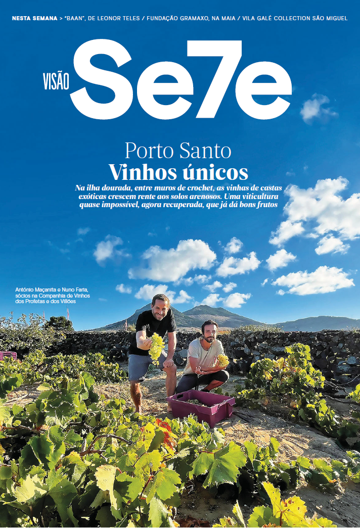 Capa Revista Visão Sete, Profetas e Villões com António Maçanita e Nuno Faria