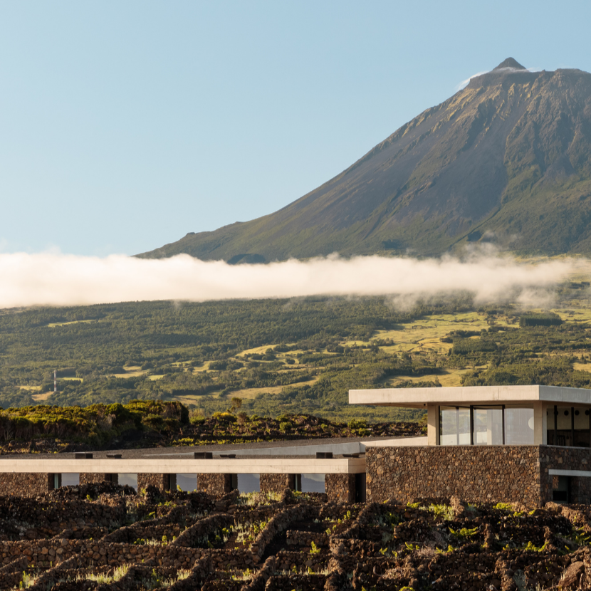 Alojamento Açores Adega Azores Wine Company