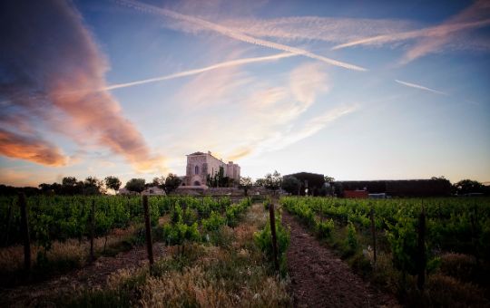 Adega Fitapreta Vinhos, Paço medieval e as vinhas