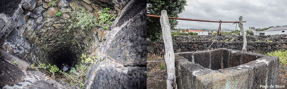 Viticultura e Enologia Azores Wine Company