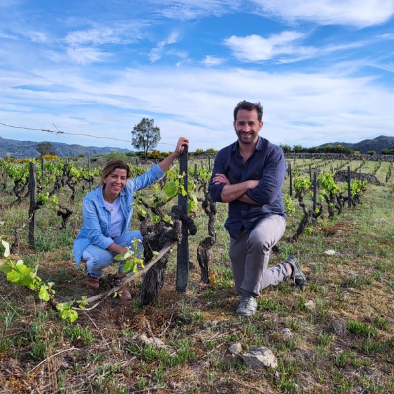 Experimentar o Douro