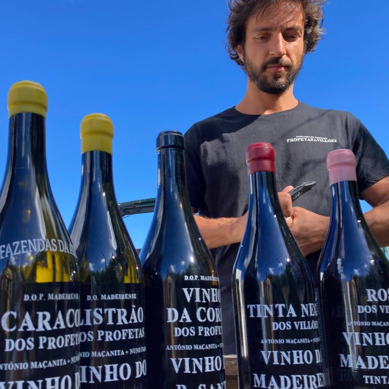 Os vinhos, a viticultura e os ensinamentos que António Maçanita bebe do Porto Santo