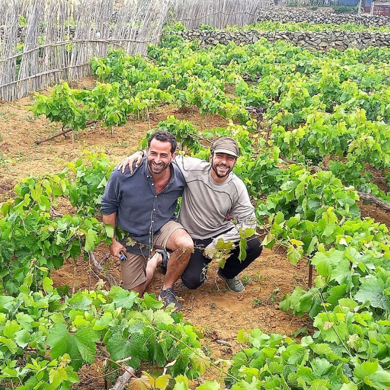 Há novos vinhos da Companhia de Vinhos dos Profetas e Villões para provar