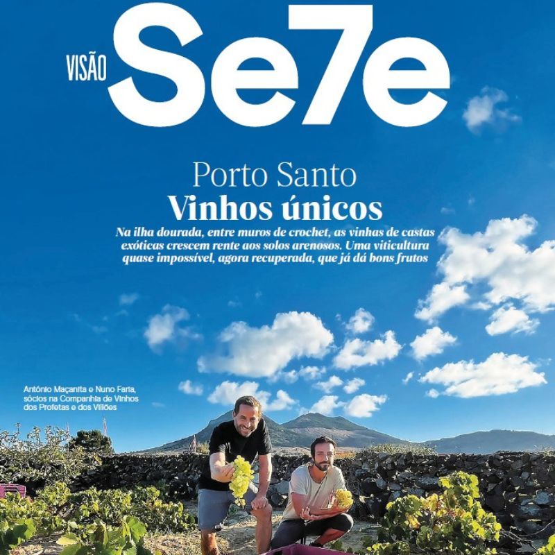 Porto Santo: Vinhos únicos