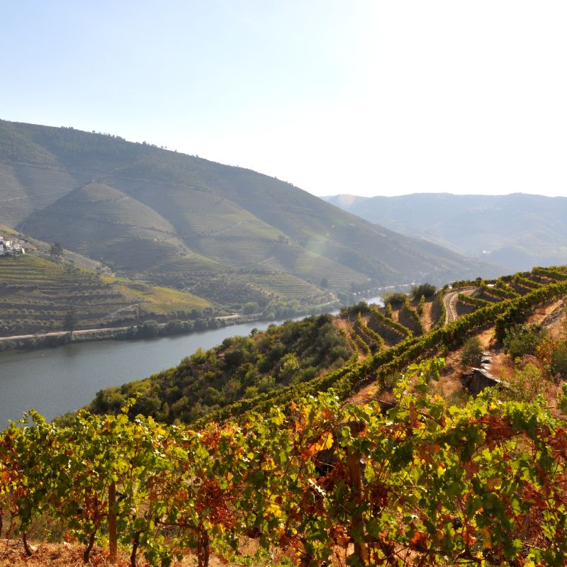 Seabra y Maçanita, imprescindibles del vino portugués