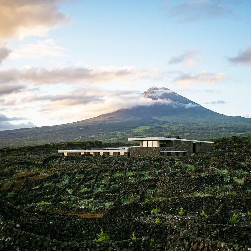 A taste of the new: five spectacular wineries to visit this summer, from Sussex to South Africa