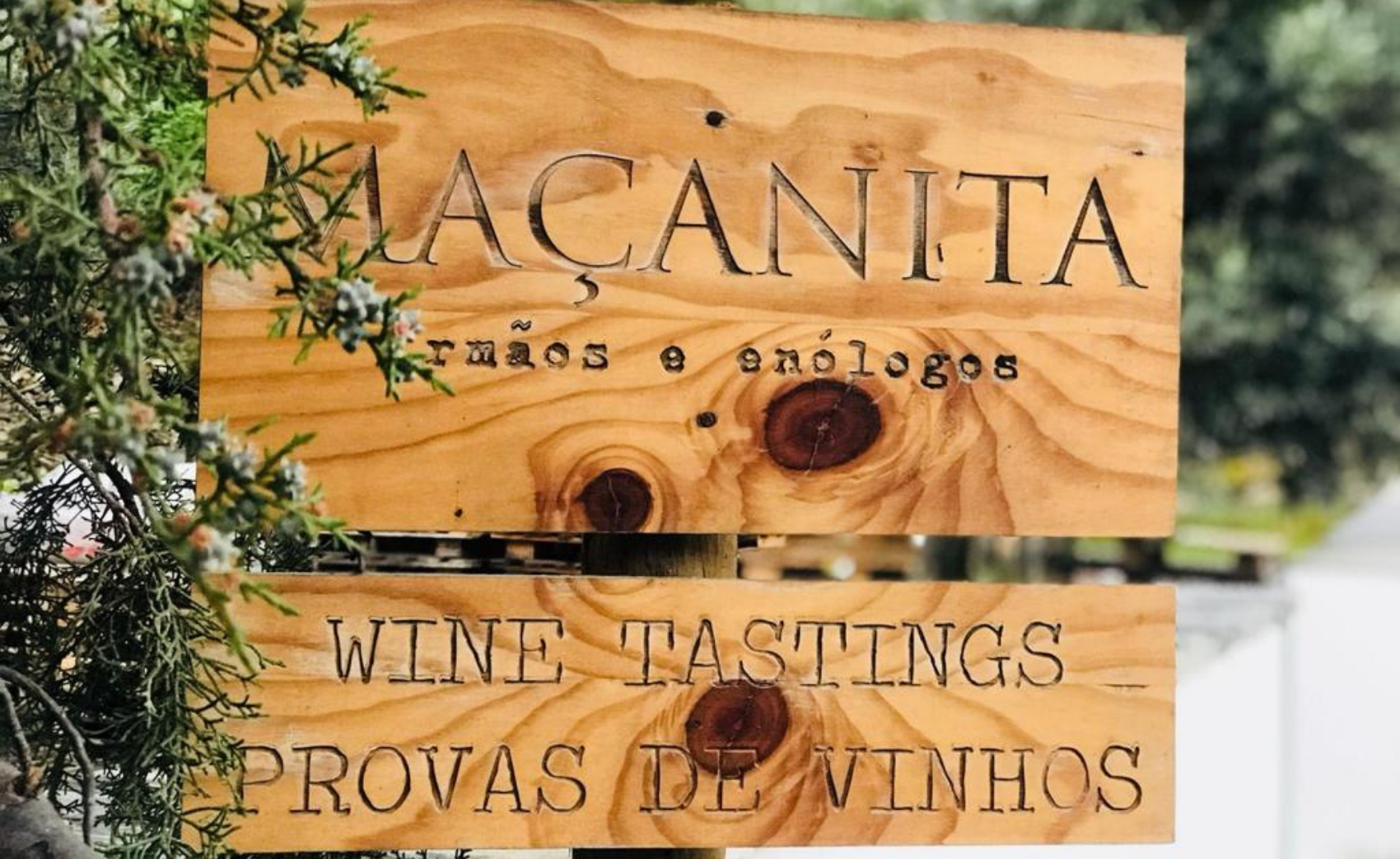 Welcome to Maçanita Winery!