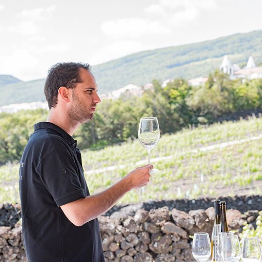 Filipe Rocha Azores Wine Company