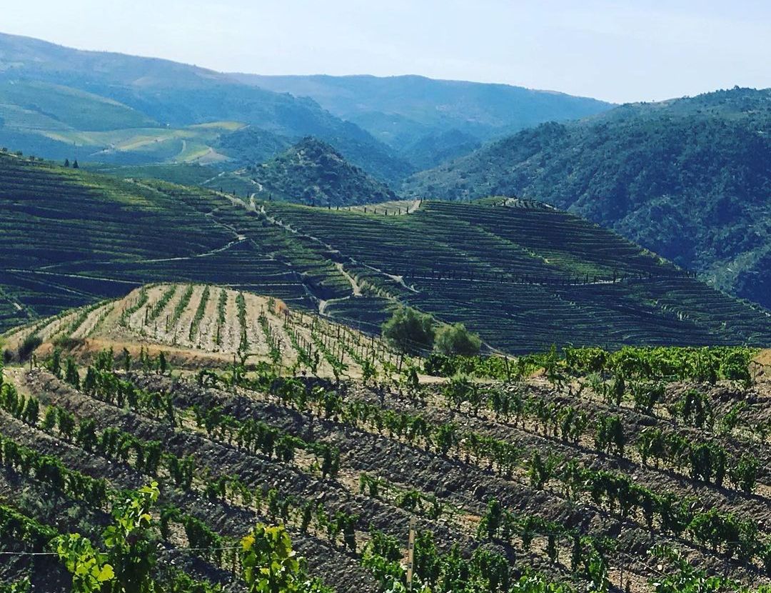 António Maçanita e Vinhos do Douro