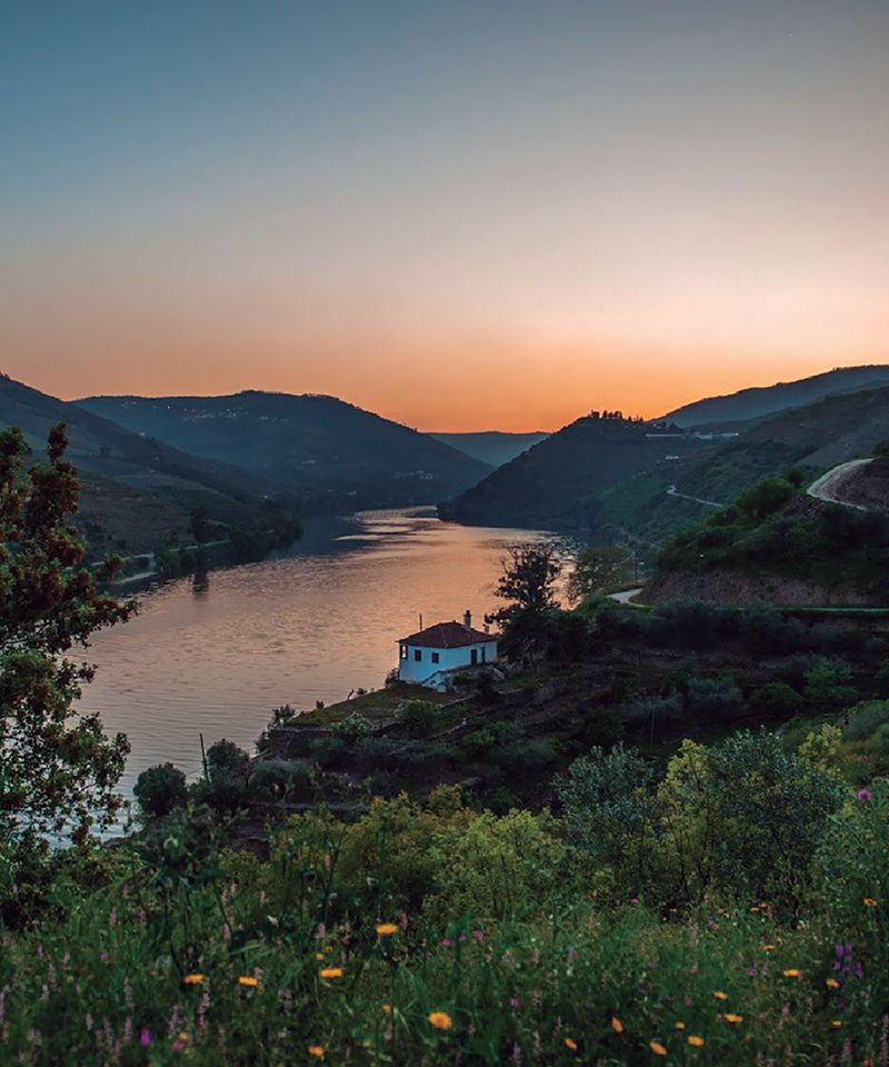Enoturismo Douro