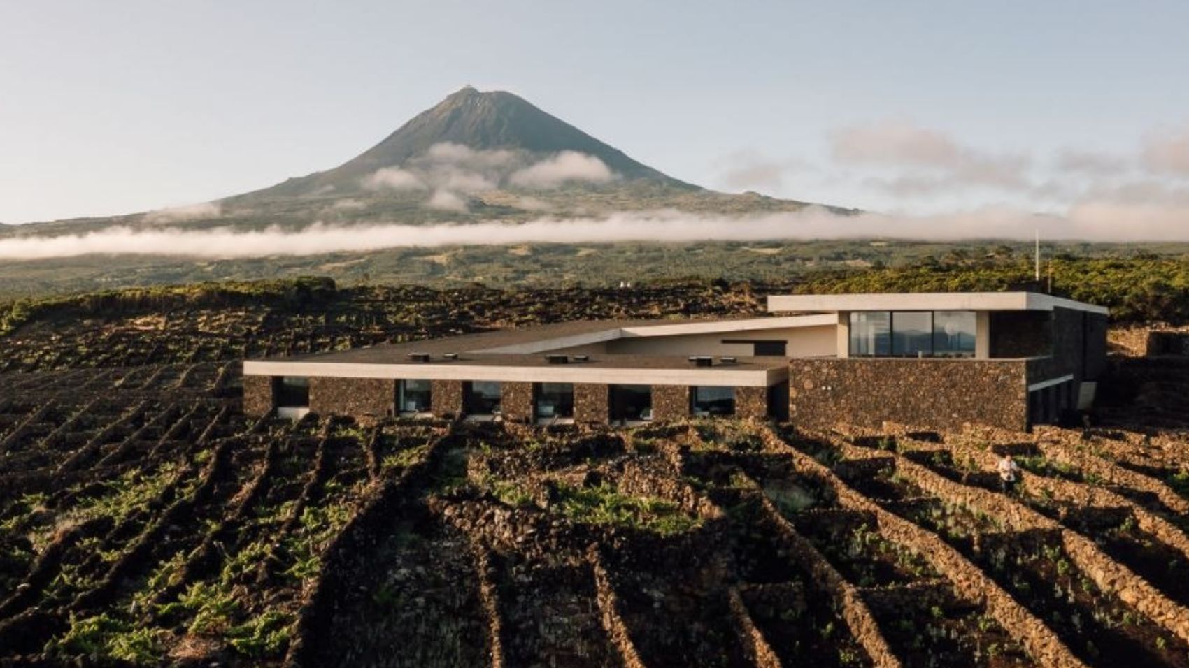alojamento azores wine company