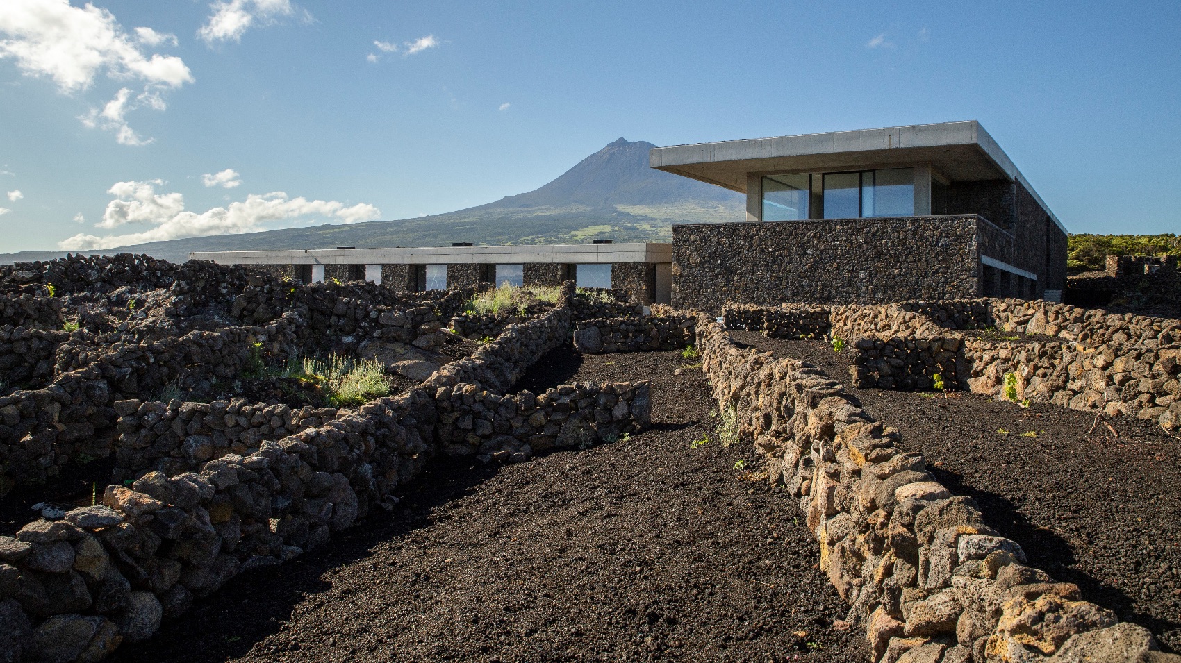 Adega da AWC, Ilha do Pico (Açores)