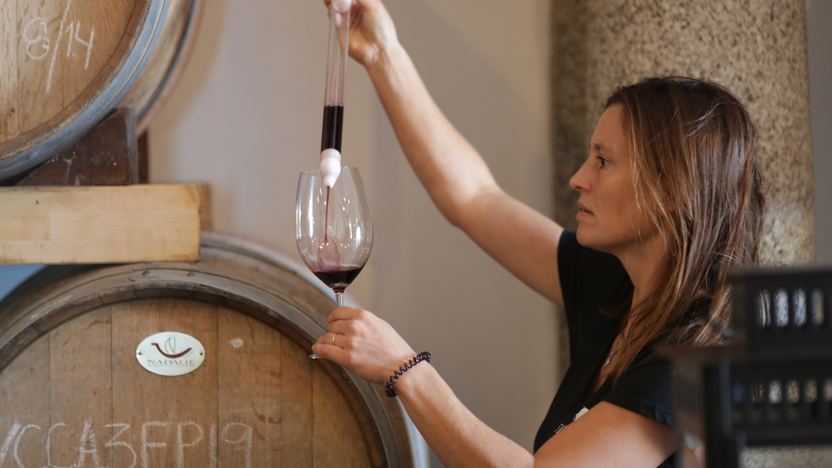 I'm a Wine Geek! Wine Tasting Fitapreta