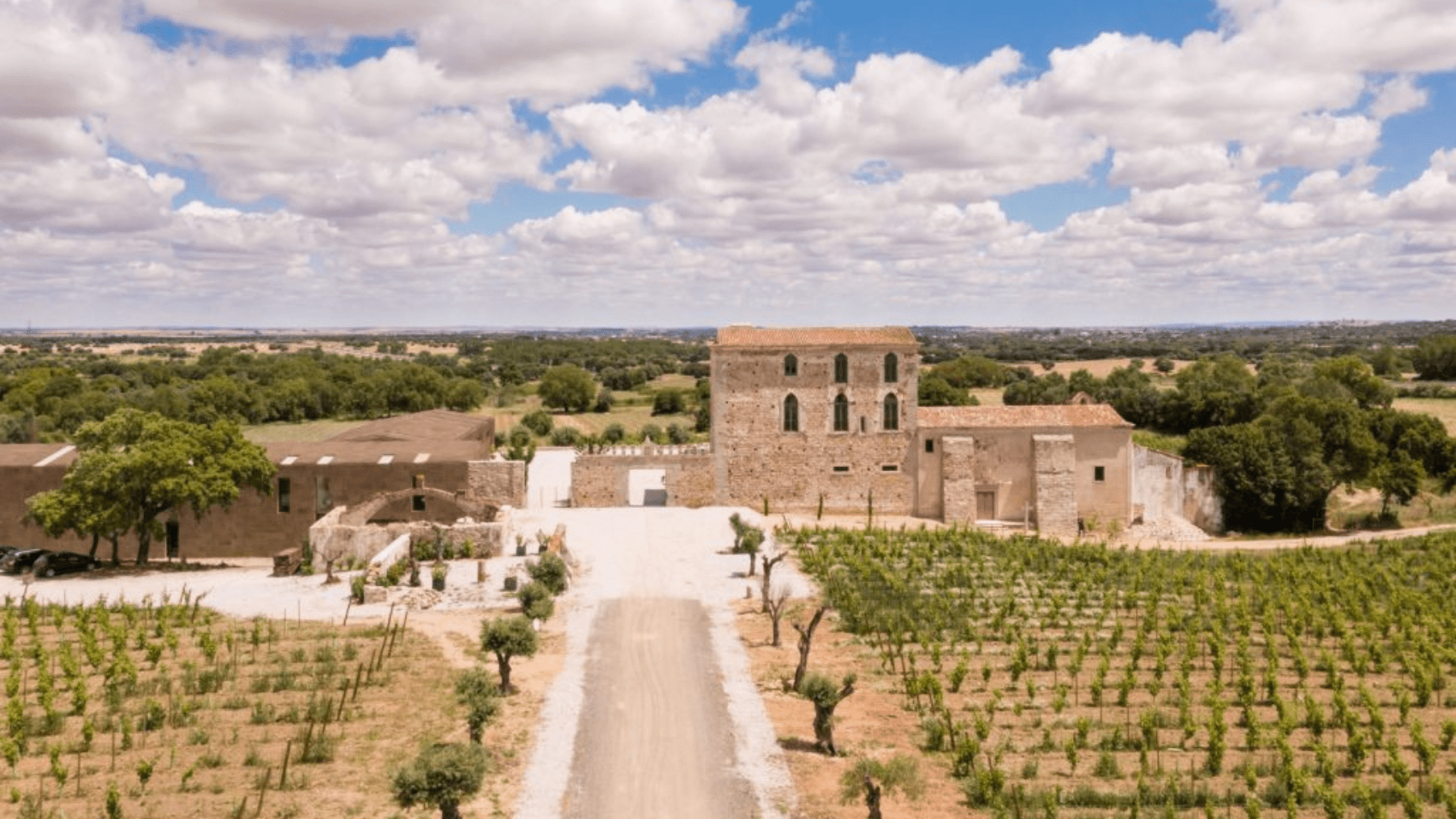 Vista panorâmica da Herdade Fitapreta Vinhos, no Alentejo.