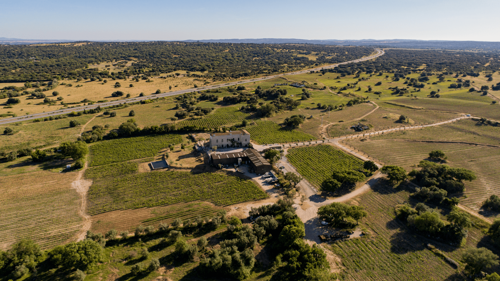 Vista panorâmica da Herdade Fitapreta Vinhos, no Alentejo.