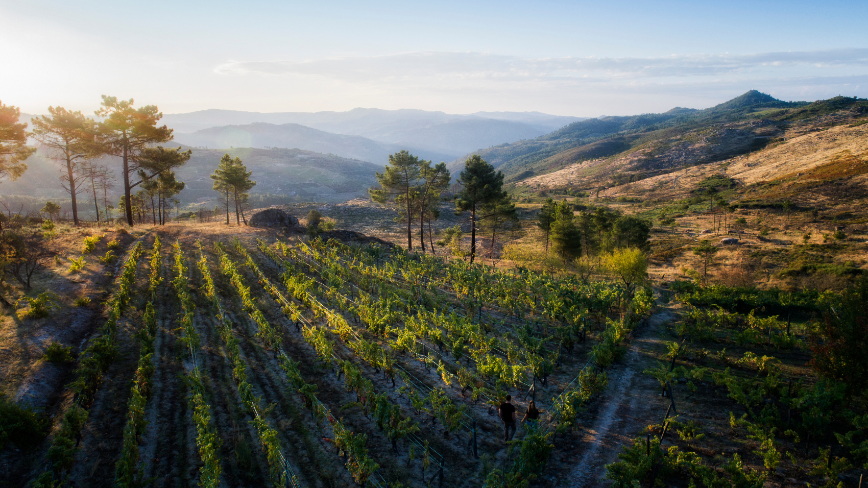 Douro